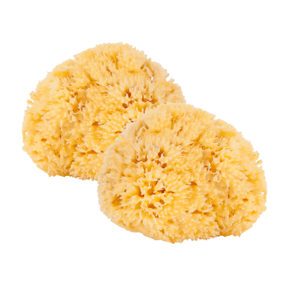 BX™ Natural Sea Sponges 2 Pack